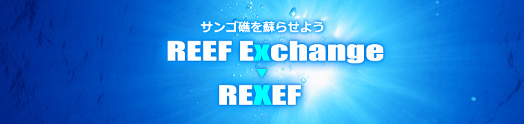 サンゴ礁を蘇らせよう Reef Exchange ▶ REXEF